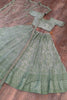 Beautiful Pista Green Zari Embroidery Net Lehenga Choli With Dupatta