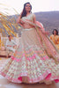 Graceful Beige Sequins Net Engagement Wear Lehenga Choli With Dupatta