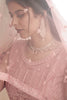 Beautiful Baby Pink Embroidered Net Recaption Wear Gown