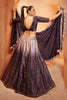 Purple Sequins Embroidered Velvet Party Wear Lehenga Choli