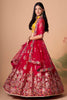 Rani Mirror Work Net Wedding Wear Lehenga Choli