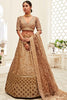 Marvelous Brown Sequins Embroidered Silk Bridal Wear Lehenga Choli