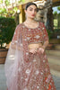 Amazing Brown Sequins Tissue Silk Wedding Wear Lehenga Choli