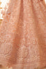 Gorgeous Peach Thread Embroidery Work Net Wedding Wear Lehenga Choli