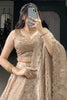 Beautiful Golden Sequins Organza Wedding Lehenga Choli With Dupatta