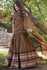 Dazzling Brown Zari Weaving Chanderi Festival Wear Lehenga Choli
