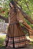 Dazzling Brown Zari Weaving Chanderi Festival Wear Lehenga Choli