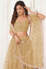 Pretty Brown Sequins Net Party Wear Lehenga Choli With Dupatta