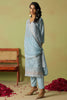 Stunning Sky-Blue Embroidered Organza Pant Suit With Dupatta