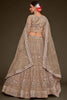 Winsome Beige Embroidered Soft Net Engagement Wear Lehenga Choli