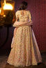 Beautiful Light Brown Sequins Net Wedding Wear Lehenga Choli