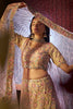 Beautiful Light Brown Sequins Net Wedding Wear Lehenga Choli