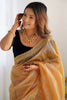 Astonishing Golden Border Work Net Festival Wear Saree With Blouse
