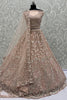 Gorgeous Peach Zircon Work Net Engagement Wear Lehenga Choli