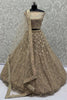 Magnetic Beige Multi-Thread Work Net Designer Lehenga Choli With Dupatta