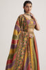 Beautiful Multi-Color Floral Printed Organza Traditional Lehenga Choli