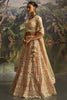 Marvelous Cream Dori Embroidered Net Designer Lehenga Choli With Dupatta