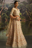 Marvelous Cream Dori Embroidered Net Designer Lehenga Choli With Dupatta