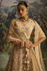 Marvelous Cream Dori Embroidered Net Designer Lehenga Choli With Dupatta