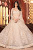 Astonishing Beige Color Sequins Net Reception Wear Lehenga Choli 