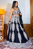 Stunning Black Thread Embroidery Georgette Wedding Wear Lehenga Choli