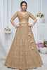 Beautiful Brown Embroidered Net Lehenga Choli With Dupatta