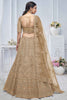 Beautiful Brown Embroidered Net Lehenga Choli With Dupatta