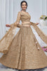 Beautiful Brown Embroidered Net Lehenga Choli With Dupatta