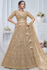 Beautiful Brown Embroidered Net Lehenga Choli With Dupatta