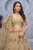 Wonderful Beige Embroidered Net Designer Lehenga Choli With Dupatta