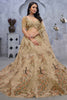 Wonderful Beige Embroidered Net Designer Lehenga Choli With Dupatta