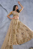 Wonderful Beige Embroidered Net Designer Lehenga Choli With Dupatta