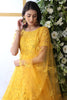 Astonishing Yellow Thread Embroidered Net Haldi Wear Gown