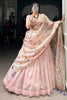 Incredible Light Pink Thread Embroidered Designer Lehenga Choli