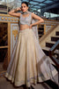 Marvelous Cream Crushed Pattern Lehenga With Embroidered Choli