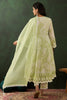 Charming Green Embroidered Cotton Event Wear Anarkali Suit Pant