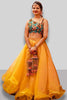 Mesmerizing Yellow Organza Haldi Wear Lehenga With Crop Top