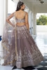 Breathtaking Brown Embroidered Net Wedding Wear Lehenga Choli