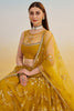 Wonderful Mustard Yellow Thread Embroidered Net Lehenga Choli