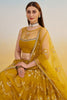 Wonderful Mustard Yellow Thread Embroidered Net Lehenga Choli