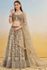 Glamorous Brown Thread Work Net Designer Lehenga Choli With Dupatta