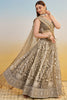Glamorous Brown Thread Work Net Designer Lehenga Choli With Dupatta