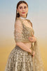 Glamorous Brown Thread Work Net Designer Lehenga Choli With Dupatta