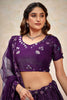 Sweet Purple Thread Embroidered Net Designer Lehenga Choli