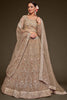 Winsome Beige Embroidered Soft Net Engagement Wear Lehenga Choli