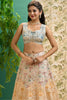 Dear Multi-Color Digital Printed Art Silk Function Wear Lehenga Choli